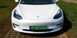 Tesla do ślubu, Wodzisław Śląski - zdjęcie 6