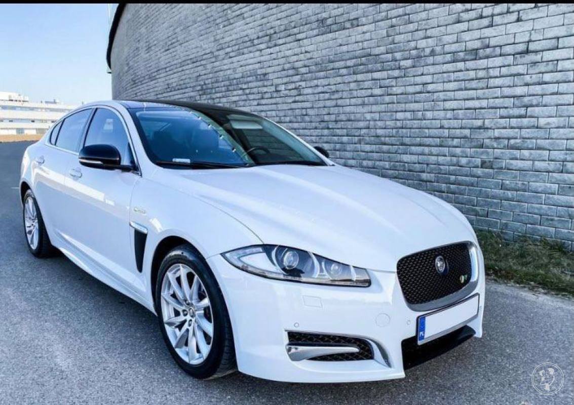 Biały Jaguar xF do ślubu | Auto do ślubu Warszawa, mazowieckie - zdjęcie 1