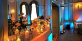 Dekoracja światłem LED  ! | Dekoracje światłem Starachowice, świętokrzyskie - zdjęcie 2