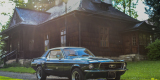 Ford Mustang Klasyk do Ślubu 1967 | Auto do ślubu Gorlice, małopolskie - zdjęcie 3