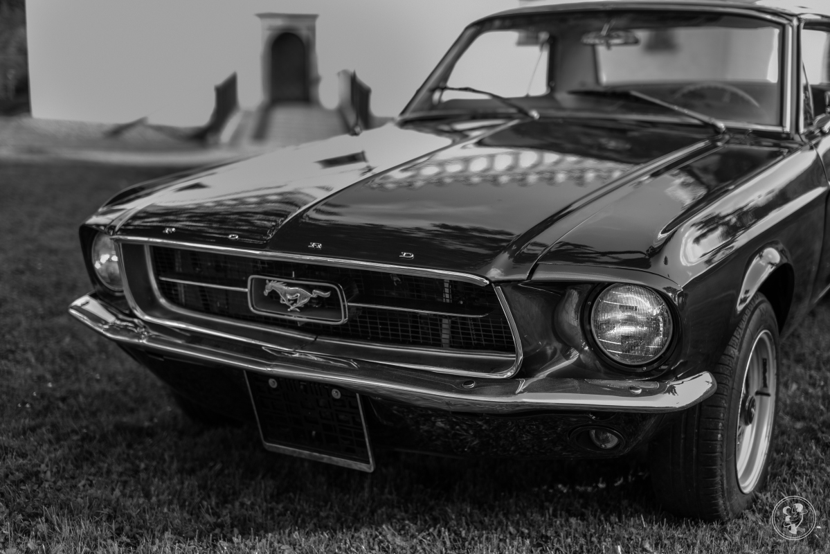 Ford Mustang Klasyk do Ślubu 1967, Gorlice - zdjęcie 1