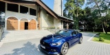 Najlepsze Auto o Ślubu ♥️👰🏼🤵🏼Piękne brzmienie | Ford Mustang | Auto do ślubu Bydgoszcz, kujawsko-pomorskie - zdjęcie 4