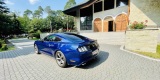Najlepsze Auto o Ślubu ♥️👰🏼🤵🏼Piękne brzmienie | Ford Mustang, Bydgoszcz - zdjęcie 6