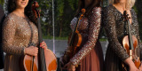 Zespół smyczkowy Amber Trio | Oprawa muzyczna ślubu Gdańsk, pomorskie - zdjęcie 2