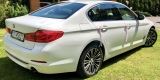 BMW 5 G30, Mercedes GLC Coupè 2020 | Auto do ślubu Żywiec, śląskie - zdjęcie 6