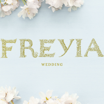 Freyia Wedding Planner / konsultant ślubny, Wedding planner Imielin