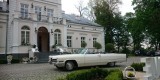 Biały Cadillac DeVille Cabrio 1966 | Auto do ślubu Warszawa, mazowieckie - zdjęcie 5