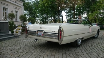 Klasyk do ślubu. Cadillac DeVille Cabrio 1966 rok., Samochód, auto do ślubu, limuzyna Brok