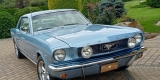 Car Of Love Mustang Mercedes Garbus | Auto do ślubu Bielsko-Biała, śląskie - zdjęcie 8