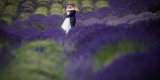 AnMa Studio - Wedding Photography & Wedding film, Tychy - zdjęcie 1