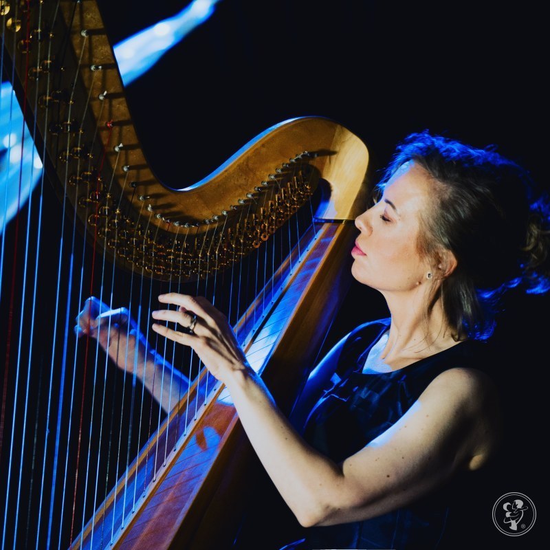 Harfistka Julia | Oprawa muzyczna ślubu Poznań, wielkopolskie - zdjęcie 1
