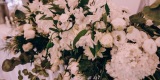 BLOOM DAY ● Weeding Desing ● Florystyka ● Dekoracje ślubne | Dekoracje ślubne Wrocław, dolnośląskie - zdjęcie 4