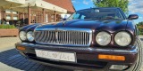 Jaguar XJ X300 Long samochód auto do ślubu, Lublin - zdjęcie 5