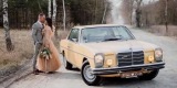 Zabytkowy Klasyk - Mercedes W114 coupe, 280- auto do ślubu, Luboń - zdjęcie 6
