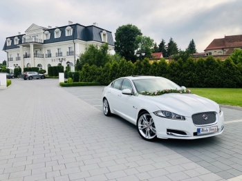 Samochód Auto do ślubu, na wesele Jaguar XF, Samochód, auto do ślubu, limuzyna Czempiń