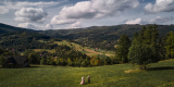Zakochani w fotografii | Fotograf ślubny Lublin, lubelskie - zdjęcie 8