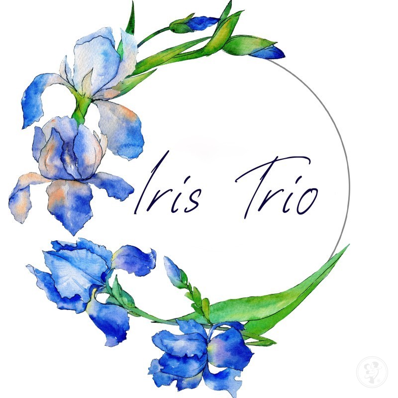 Trio smyczkowe Iris Trio | Oprawa muzyczna ślubu Kraków, małopolskie - zdjęcie 1