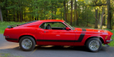 | Ford Mustang 1970 r. | BOSS 302 | V8 | Klasyk | Retro | Do ślubu |, Rybnik - zdjęcie 3