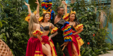 Pokaz tańca- Caribbean Dream Dancers- Taniec i animacje, Gdańsk - zdjęcie 4
