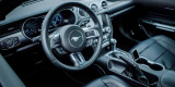 Mustang GT 5.0 V8, Audi RS Q3, Mercedes A45s AMG, Stinger GT 3.3 V6, Gdańsk - zdjęcie 6