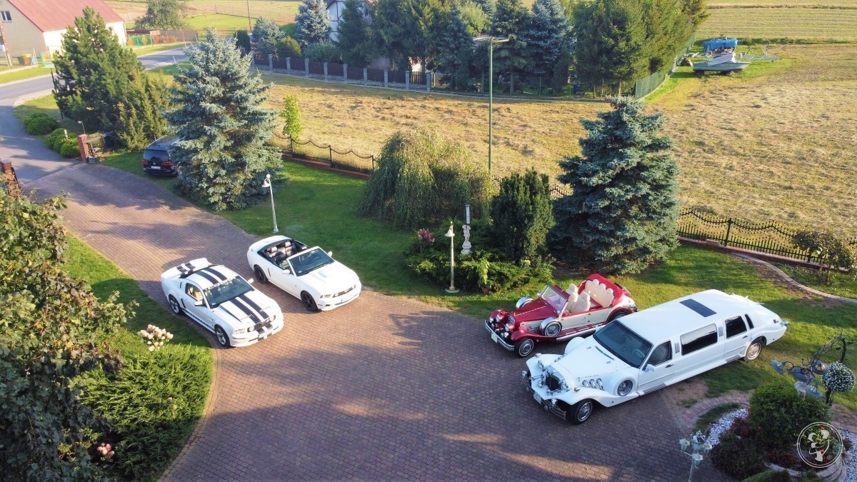 Limuzyna EXCALIBUR - Nestor BARON - Mustang CABRIO - Mustang COUPE, Gdańsk - zdjęcie 1