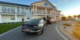 FORD Mustang do Ślubu - SAM PROWADZISZ - Promocyjne ceny 2022, Bydgoszcz - zdjęcie 5