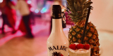 Zaszejkerowani | Bar na wesele | Barman | Drink Bar, Bielsko-Biała - zdjęcie 4