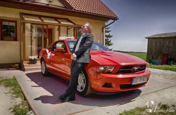 Ford Mustang 2012 | Auto do ślubu Gdańsk, pomorskie