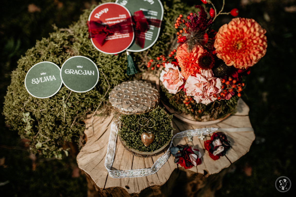Mucha z Welonem Wedding Planners, Milanówek - zdjęcie 1