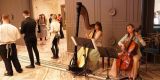 Asia i Harfa - oprawa muzyczna na Twoją uroczystość, Warszawa - zdjęcie 3