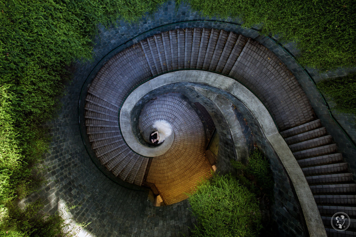 drone wedding photography stairs