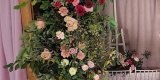 Magnolia pracownia dekoratorska - Spełniamy ślubne marzenia | Dekoracje ślubne Częstochowa, śląskie - zdjęcie 4