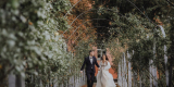 Majaphotoview - Fotograf ślubny rodzinny i okolicznościowy., Wejherowo - zdjęcie 4