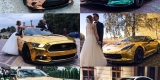 Dodge,Mustang,Corvetta,Maserati | Auto do ślubu Katowice, śląskie - zdjęcie 3