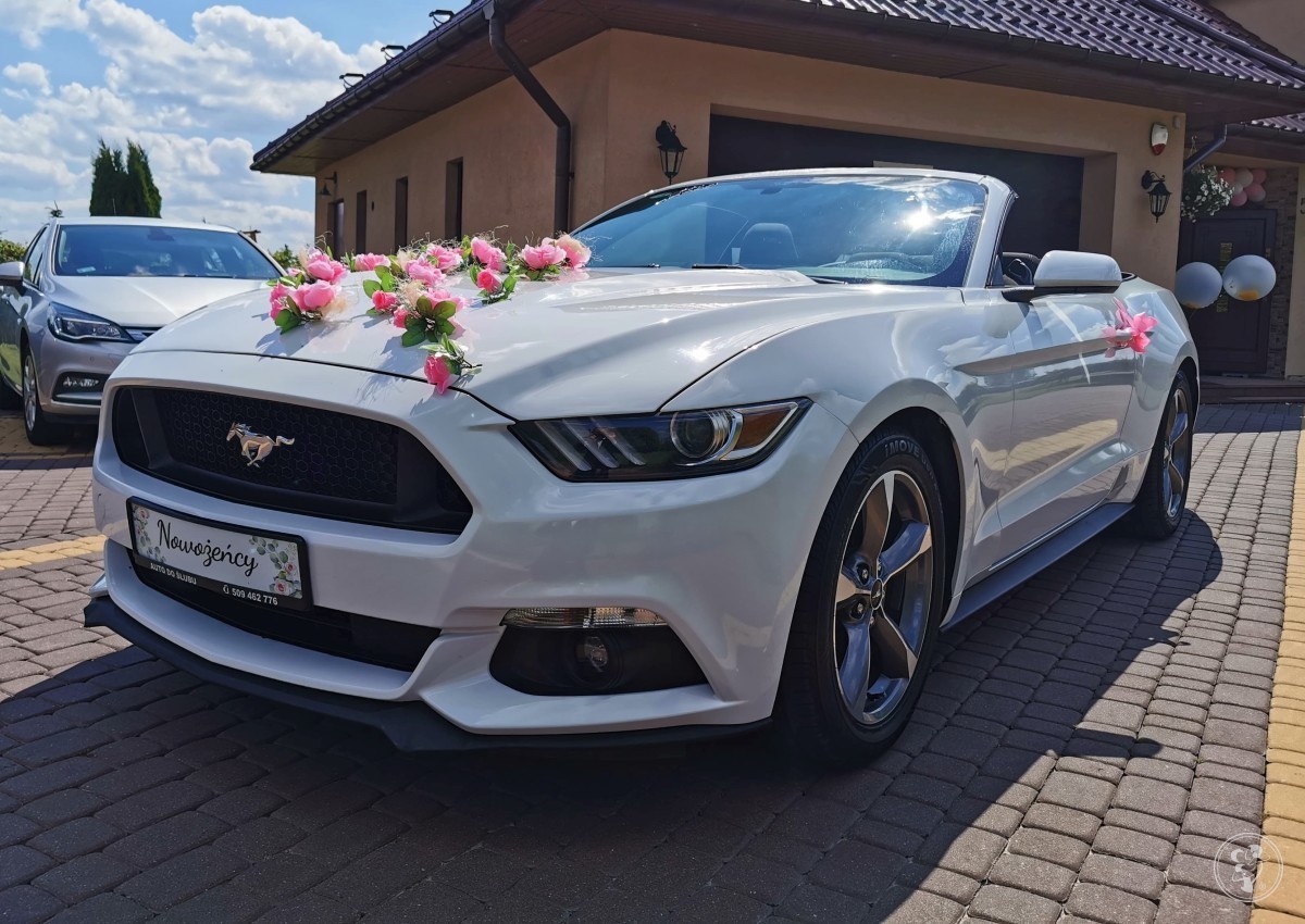 Corvette Mustang Audi A5 BMW X6 | Auto do ślubu Pigża, kujawsko-pomorskie - zdjęcie 1
