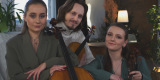 Zespół Akade Trio | Oprawa muzyczna ślubu Gdańsk, pomorskie - zdjęcie 3