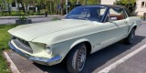 Mustang do ślubu | sam prowadzisz | kremowo-zielony | dużo terminów, Poznań - zdjęcie 3