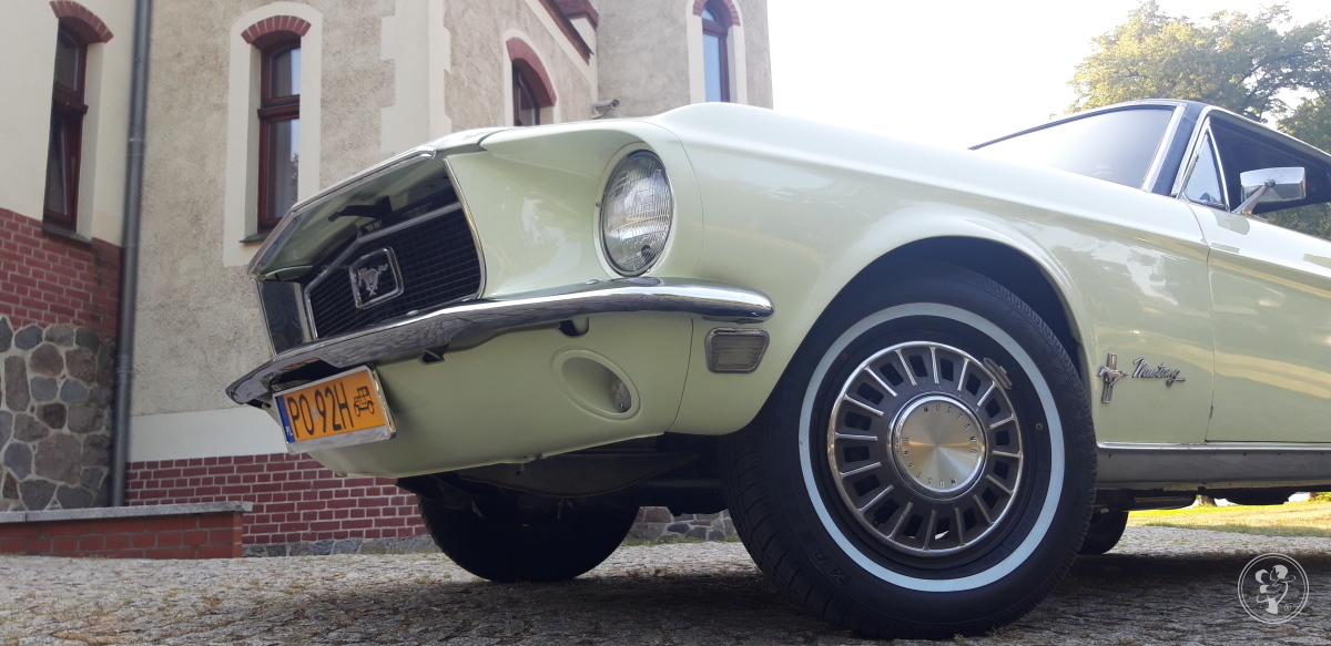 Mustang do ślubu | sam prowadzisz | kremowo-zielony | dużo terminów, Poznań - zdjęcie 1