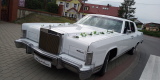 Biały Lincoln Continental | Auto do ślubu Toruń, kujawsko-pomorskie - zdjęcie 5