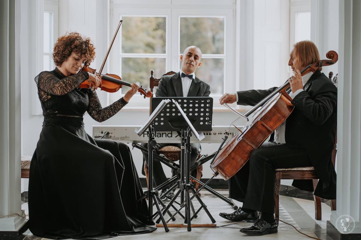 Zespół Camerata Trio | Oprawa muzyczna ślubu Zielona Góra, lubuskie - zdjęcie 1