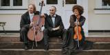 Zespół Camerata Trio | Oprawa muzyczna ślubu Zielona Góra, lubuskie - zdjęcie 2