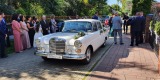 Mercedes W 110 Skrzydlak, Fiat 125p | Auto do ślubu Wodzisław Śląski, śląskie - zdjęcie 3