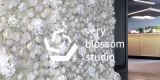 Najpiękniejsze ścianki kwiatowe Very Blossom Studio | Dekoracje ślubne Gliwice, śląskie - zdjęcie 3