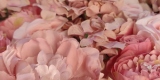 Najpiękniejsze ścianki kwiatowe Very Blossom Studio, Gliwice - zdjęcie 5