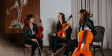 Trio Gracja | Oprawa muzyczna ślubu Poznań, wielkopolskie - zdjęcie 4