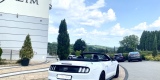 Auto do ślubu MUSTANG cabrio GT AUDI A6 Klasyk Mustang wynajem | Auto do ślubu Mielec, podkarpackie - zdjęcie 4