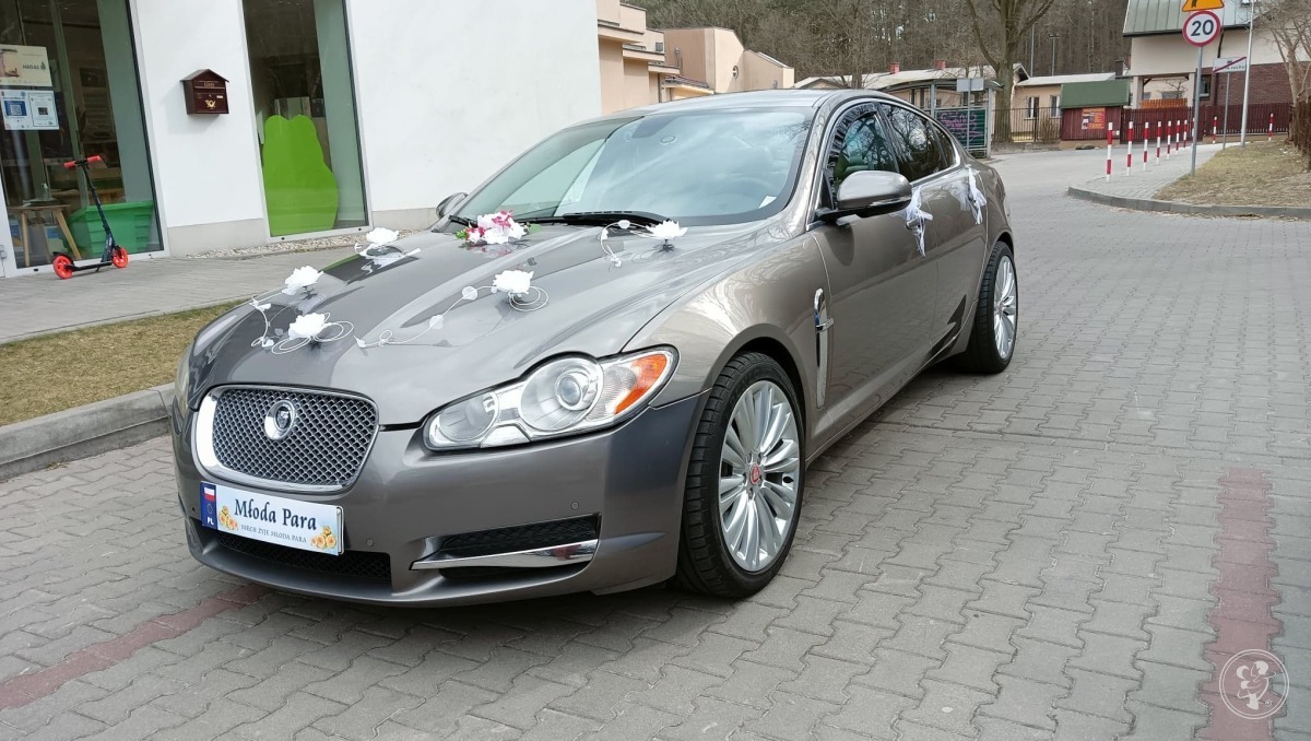 Jaguar V8 5,0 lub białe Volvo XC60 | Auto do ślubu Warszawa, mazowieckie - zdjęcie 1