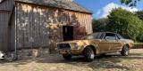 Złoty Ford Mustang 1968 r., Mezowo - zdjęcie 6