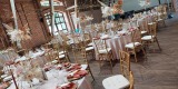 Krzesła chiavari - ślub w plenerze - wynajem, Zabrze - zdjęcie 3