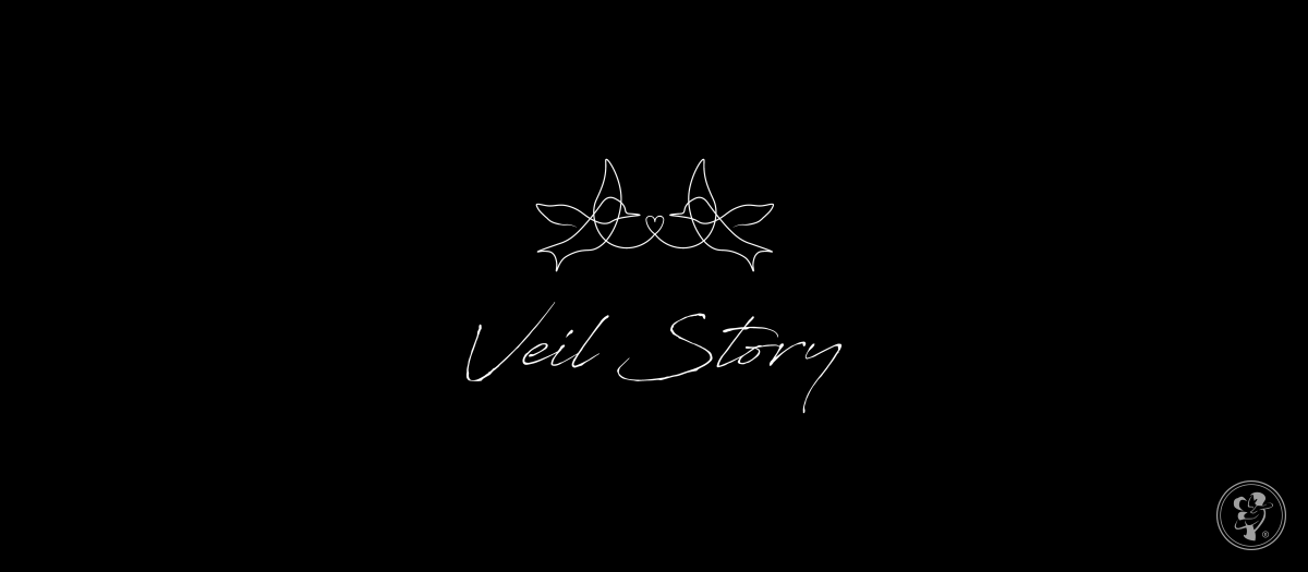 VeilStory | Kamerzysta na wesele Rzeszów, podkarpackie - zdjęcie 1